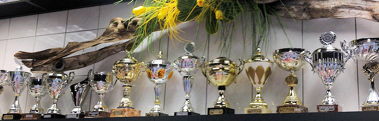 Nederlandse kampioenen