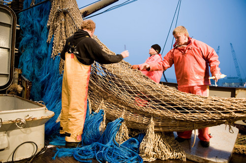 Aandacht voor streekproducten: Noordzeevis!