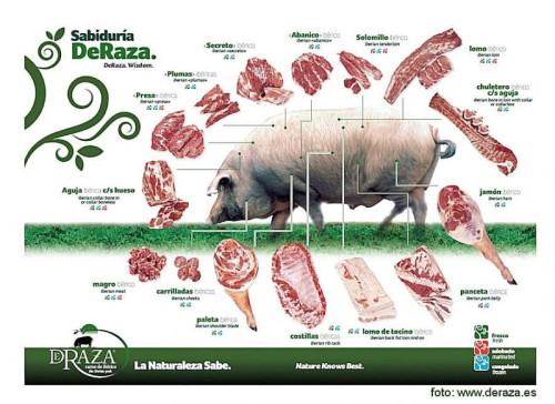 Iberico varken