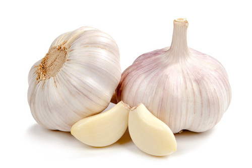 Knoflook