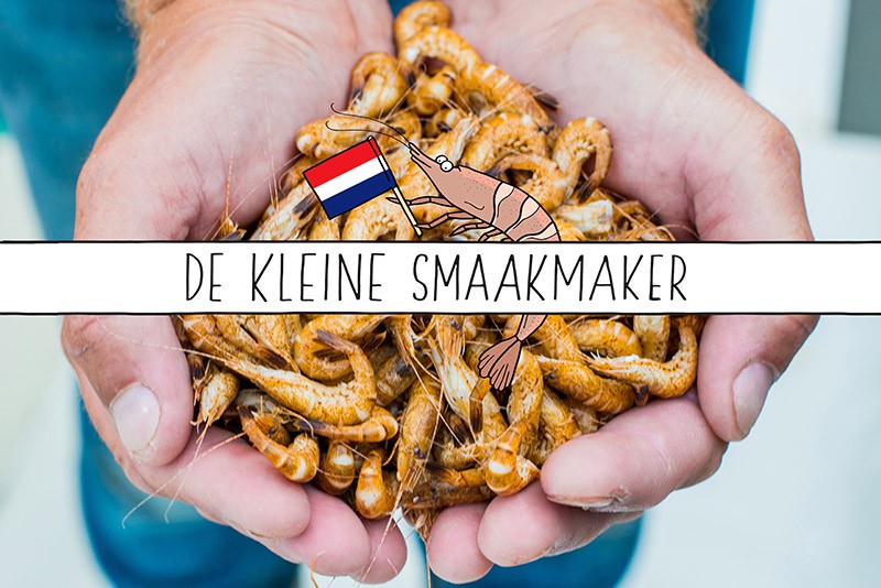 De Hollandse garnaal: Klein, fijn en smaakvol