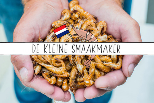 De Hollandse garnaal: Klein, fijn en smaakvol