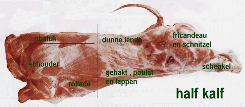 Kalfsvlees wetenswaardig