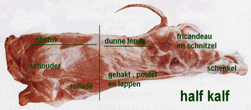 Kalfsvlees wetenswaardig