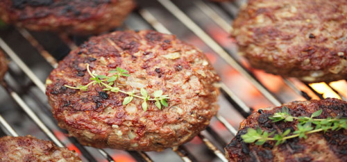 Paarden hamburger