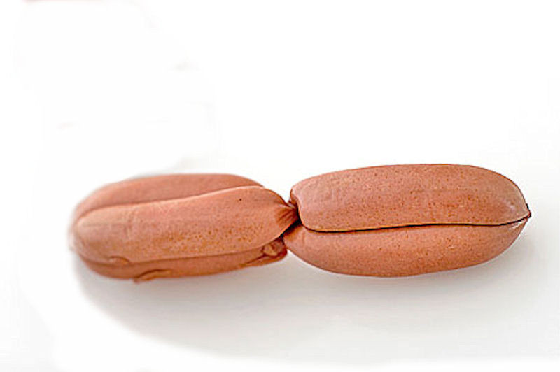 Prinskorv