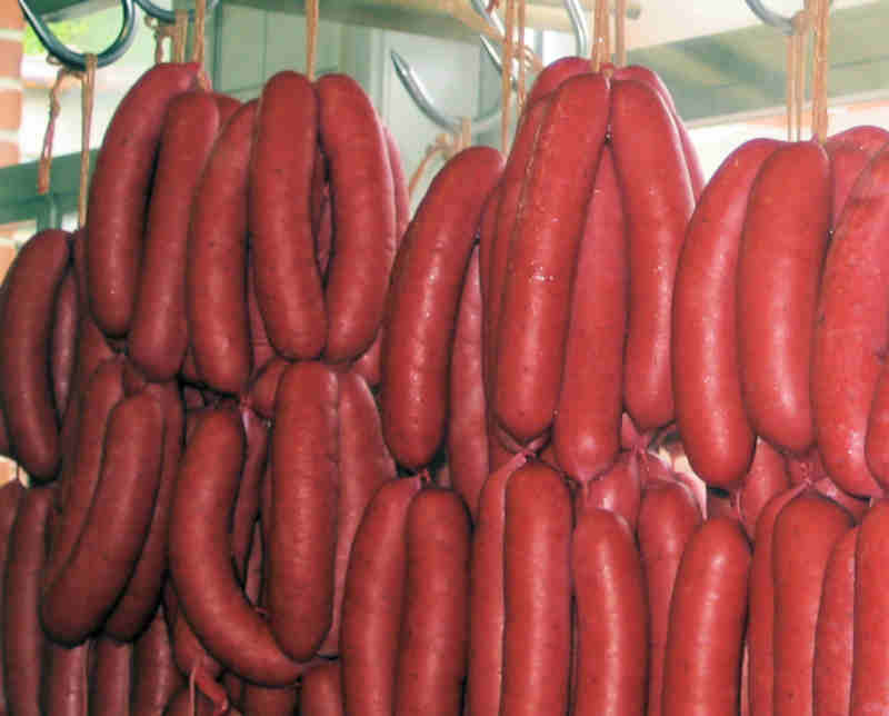 Cervela