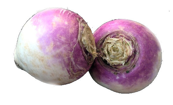 knolraap