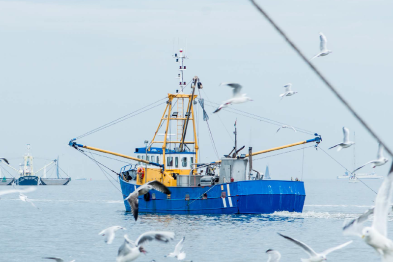 Nederlandse visserij wordt steeds duurzamer