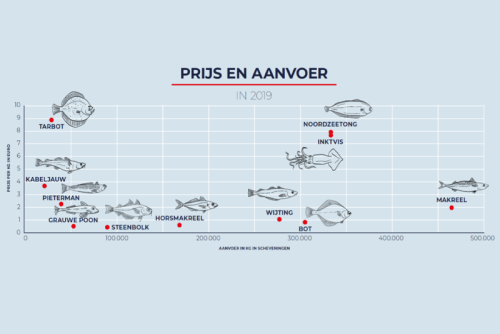 Onderzoek naar beter verdienen met vis uit eigen zee