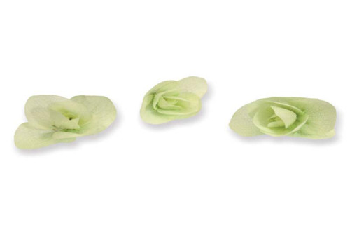 Floregano ®