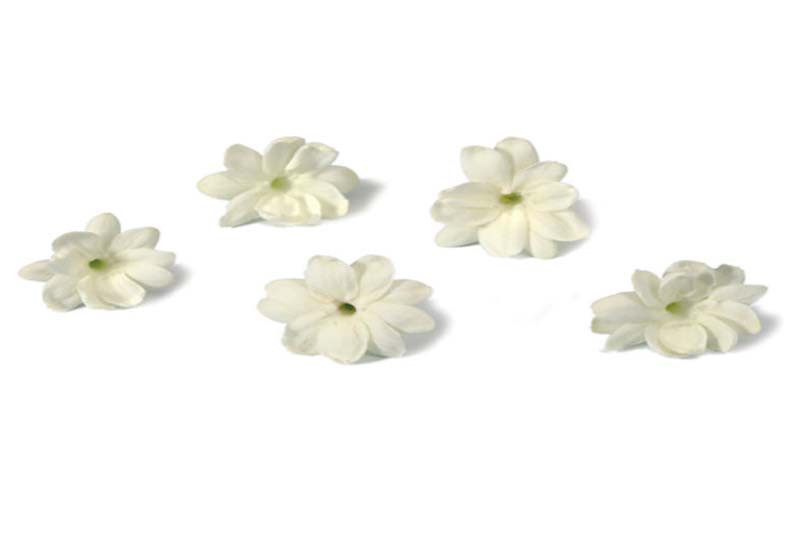Jasmin Blossom ®