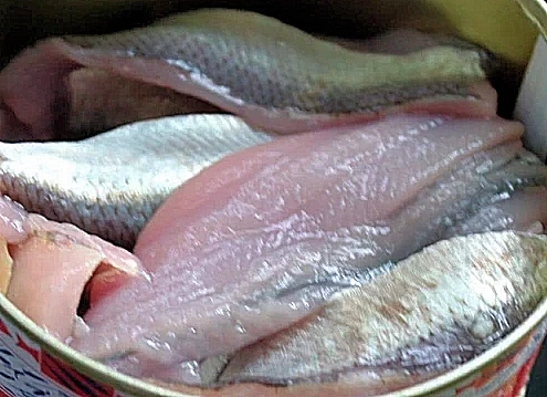 Surströmming