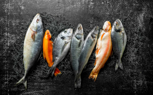 ABN AMRO verwacht stabiele trend in de vraag naar vis