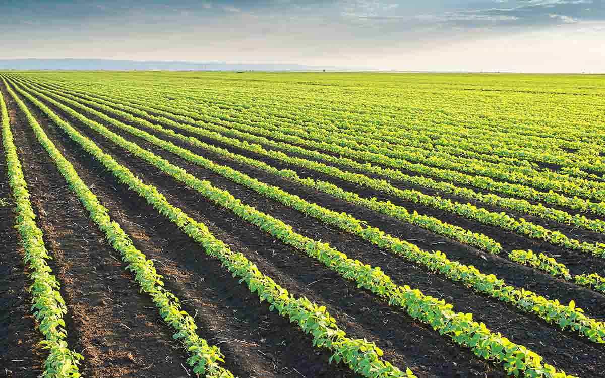 LTO pleit voor duurzame transitie agrarische sector