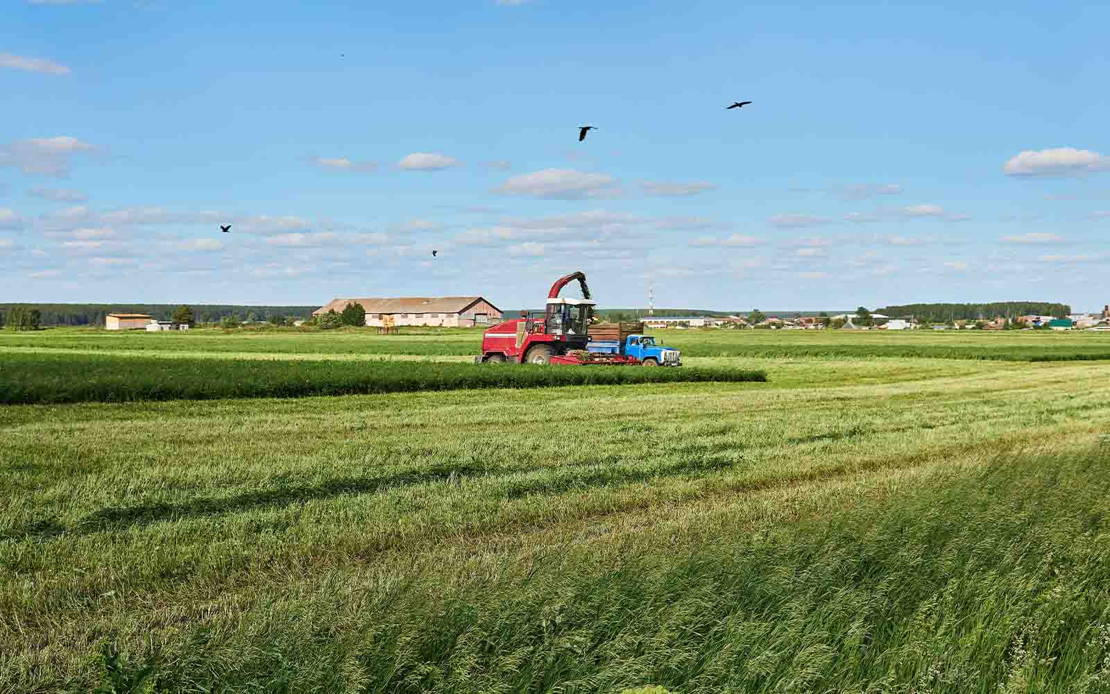 Sociale impact van voedsel­tran­sitie op boeren en vissers