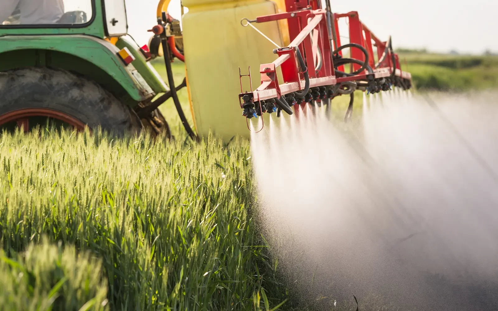 Striktere regels voor pesticiden in geïmpor­teerd voedsel