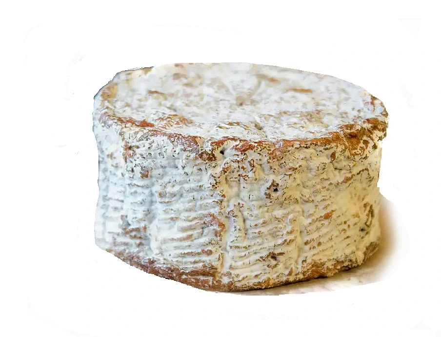 Shropshire Blue