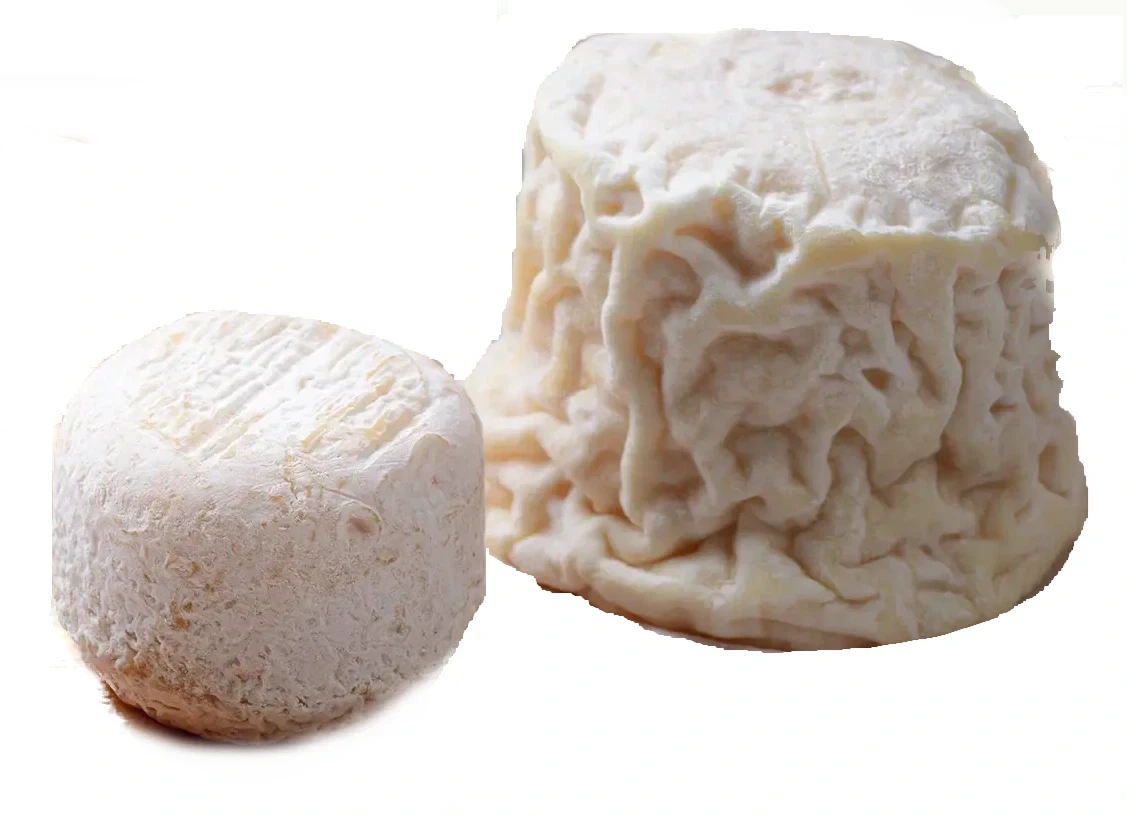 Le Chabichou du Poitou