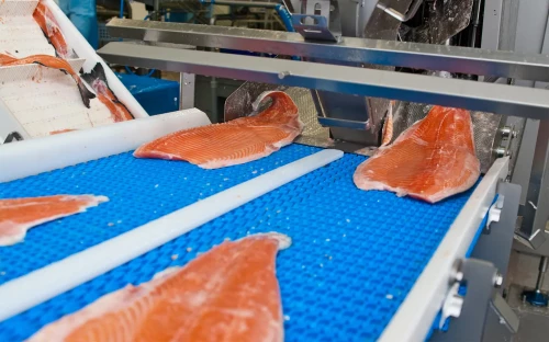 Wereldwijde zalmpro­ductie op weg naar 27% groei