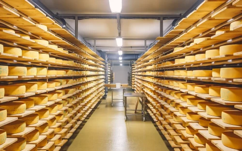 DMK Group bouwt nieuw natuurkaas­pak­huis in Hoogeveen