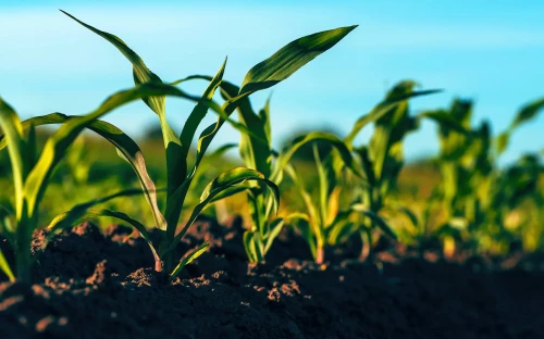 Duurzaam boeren: hoe scoort PlanetProof?