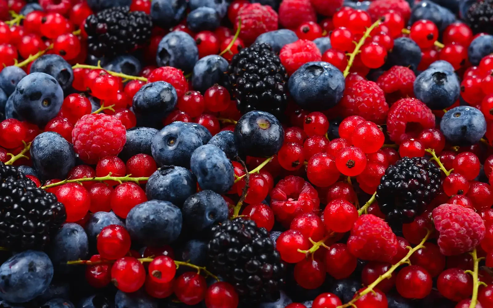 Zachtfruit in de spotlight met nieuwe campagne