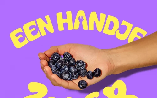 ‘Een handje zomer’ zet zachtfruit op de kaart