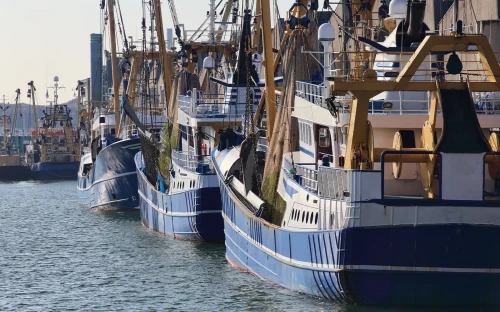 Zeevisserij voorzichtig in de plus, toekomst blijft onzeker
