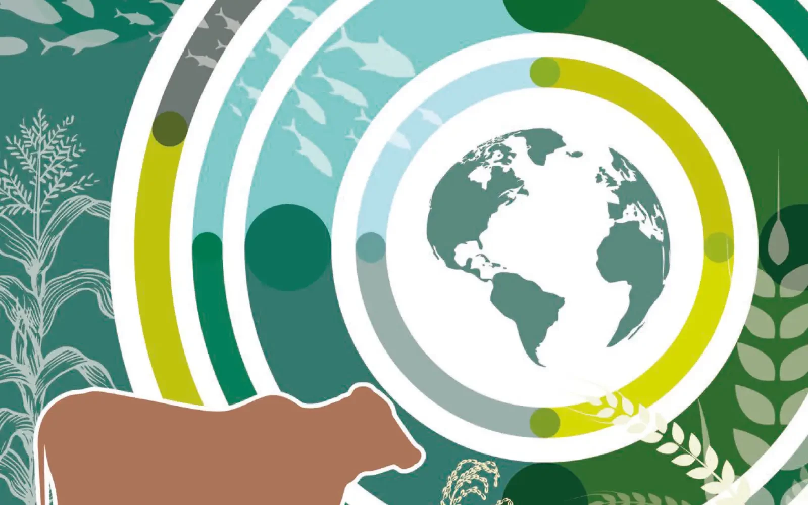 FAO: vlees- en visconsumptie groeit wereldwijd met 6%