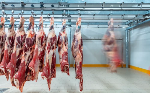Rundvlees wordt rap duurder: keten in de knel