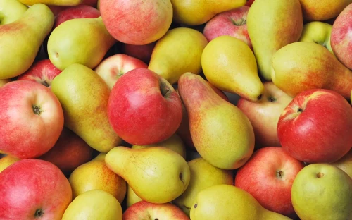 Fruitteelt profiteert van beter groeiseizoen