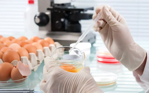 Steeds meer Salmonella-besmettingen in Nederland