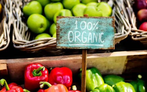 Nieuwe subsidie moet verkoop bio-producten stimuleren