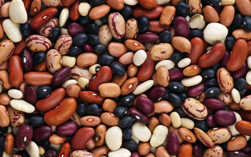 Nederlan­ders eten meer peulvruchten, teelt blijft nog achter