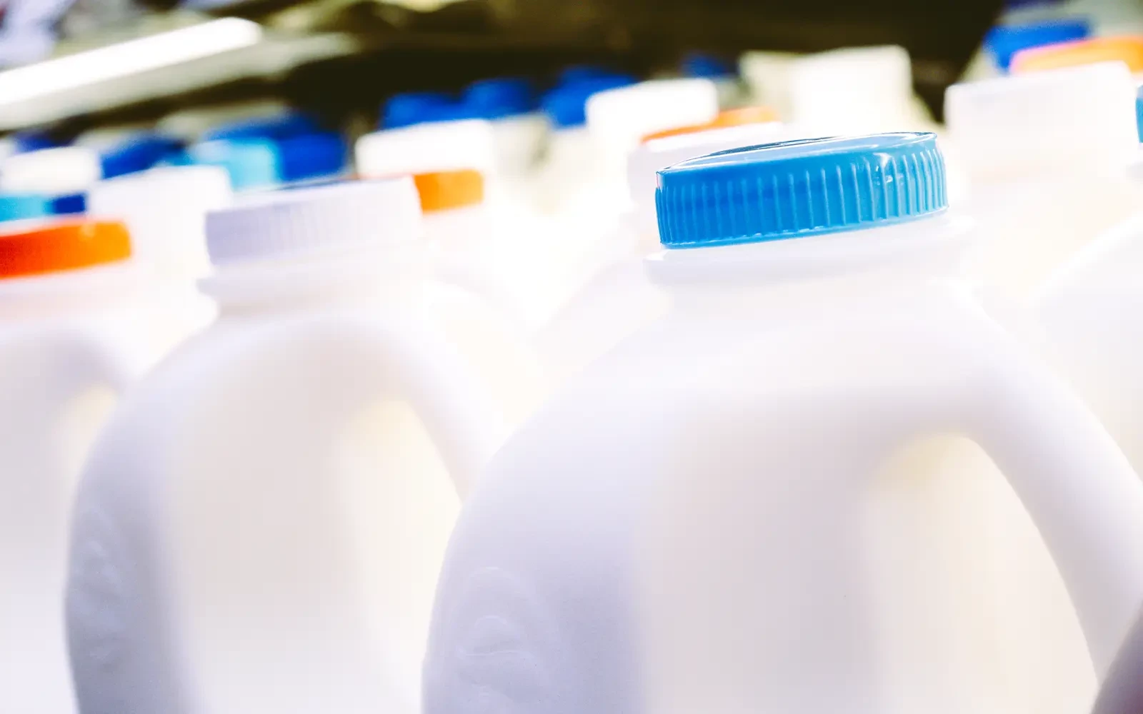 Melkprijs zakt naar laagste punt in tien jaar