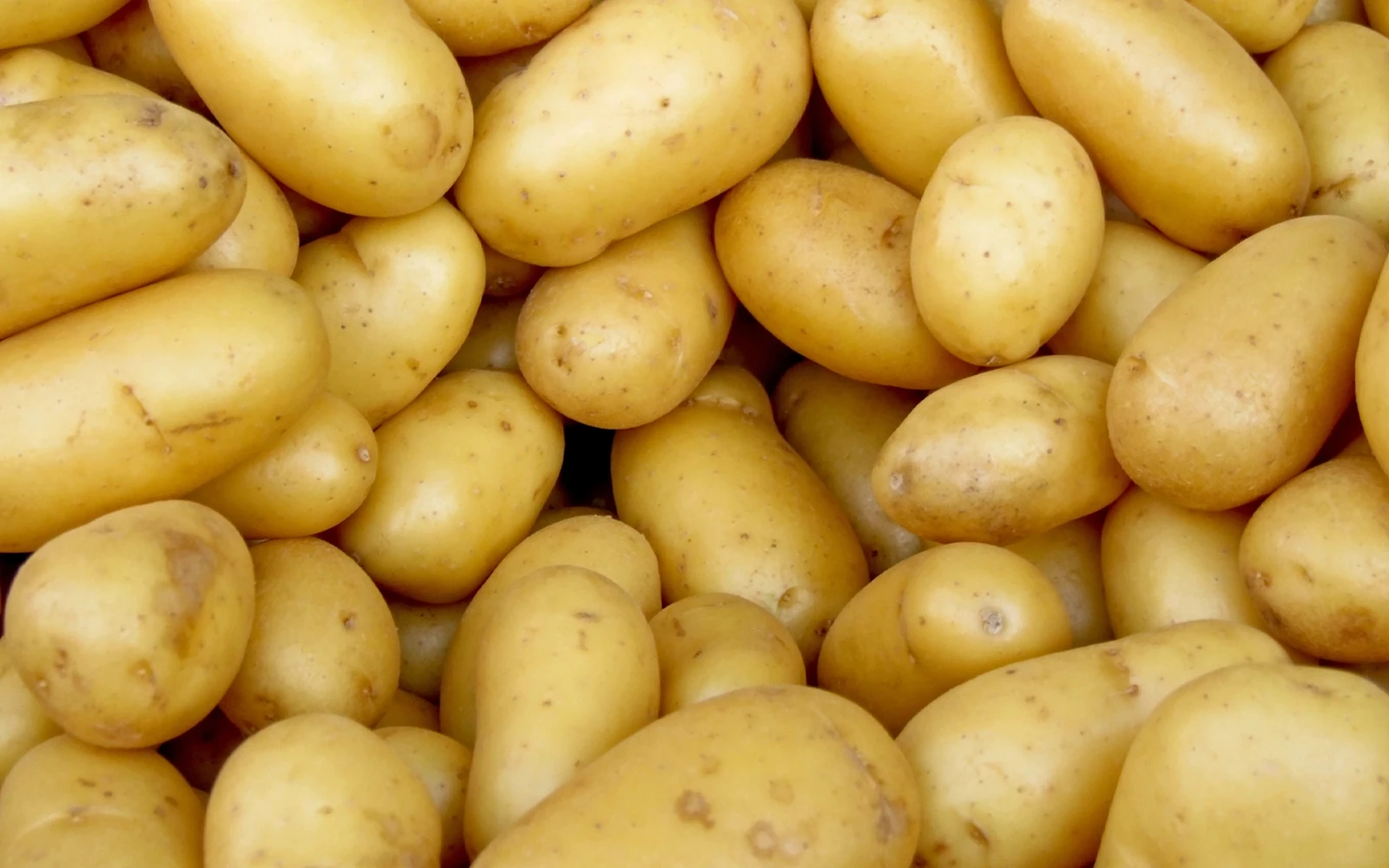 Aardappel­prijs onder nul in Europa