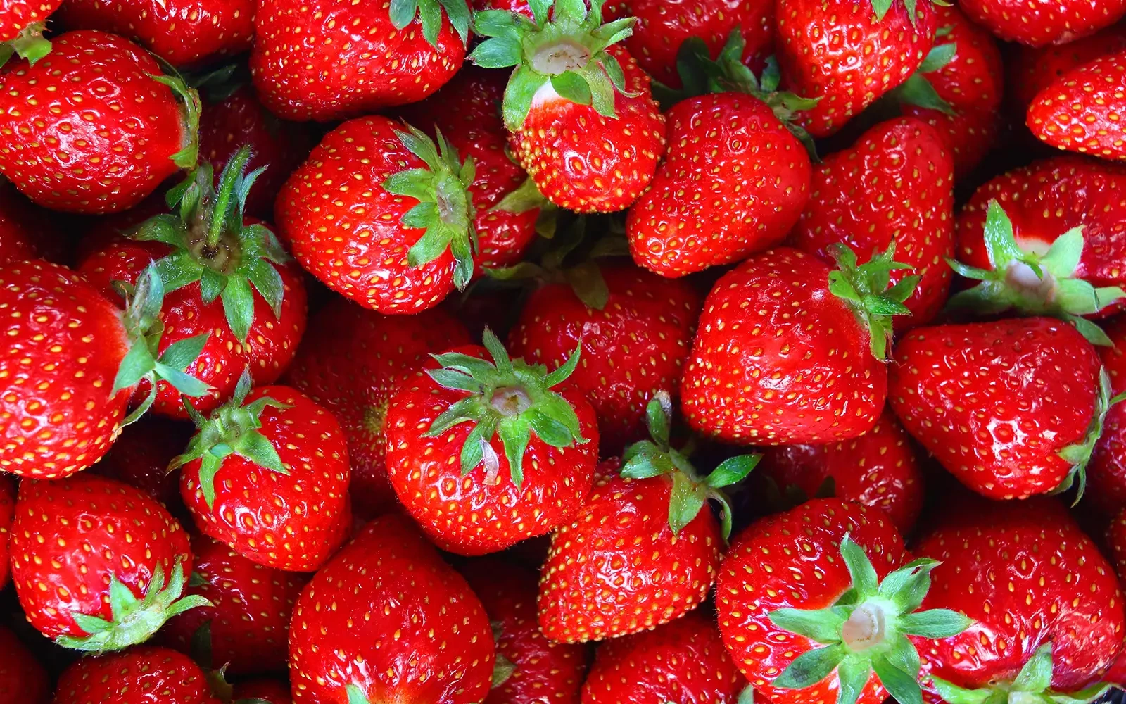 Aardbei­en­con­sumptie blijft stijgen in Nederland