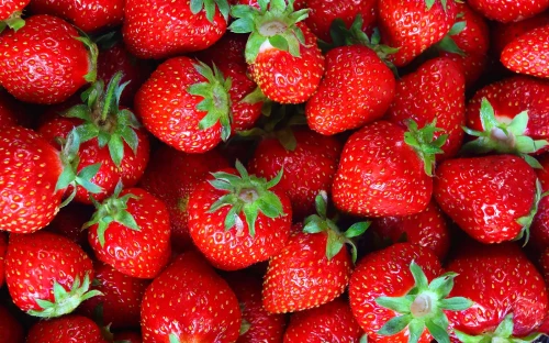Aardbei­en­con­sumptie blijft stijgen in Nederland