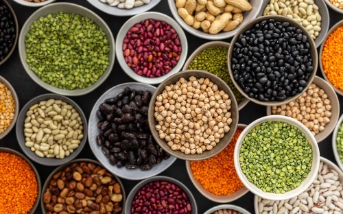 Foodvalley vernieuwt gids voor reformu­latie van voedings­pro­ducten
