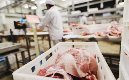 VleesNL noemt uitzend­verbod onnodig en dispropor­ti­o­neel