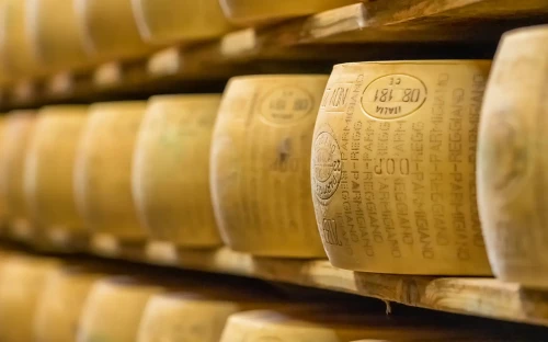 Productie Parmezaanse kaas in de knel door extreme hitte