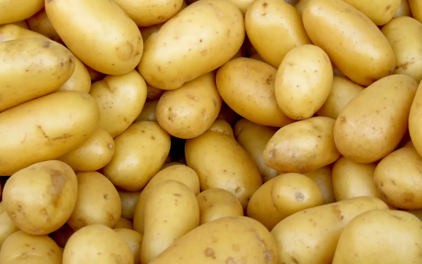 Droogte zet aardappelmarkt op zijn kop