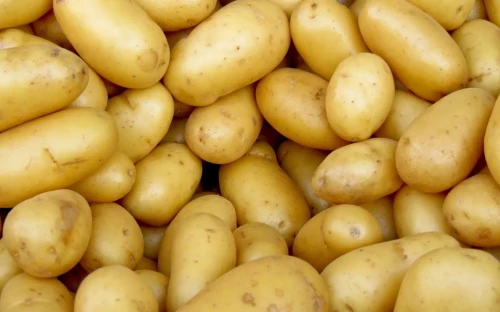 Droogte zet aardappelmarkt op zijn kop