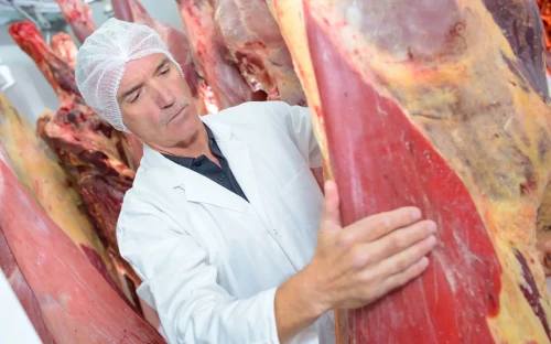 FNV: hoge werkdruk bij keurmees­ters in slachthuizen